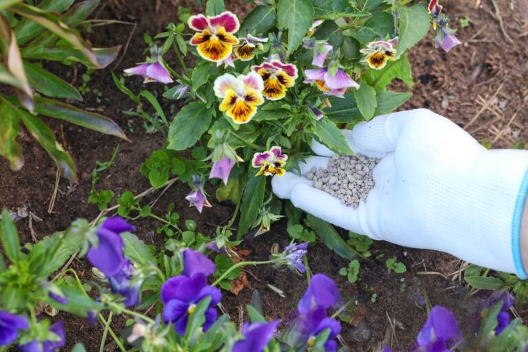 Person applying fertilizer to a flower garden.