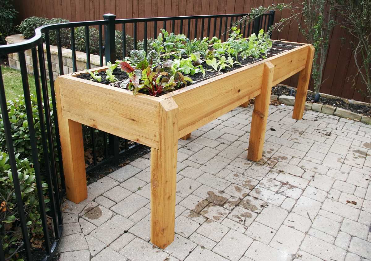 Raised Garden Bed Fertilizer: A How-To Guide 1 Raised garden bed with light wooden legs in front of a waist-high black iron gate.
