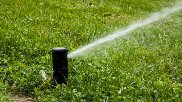 Sprinkler head spraying yard.