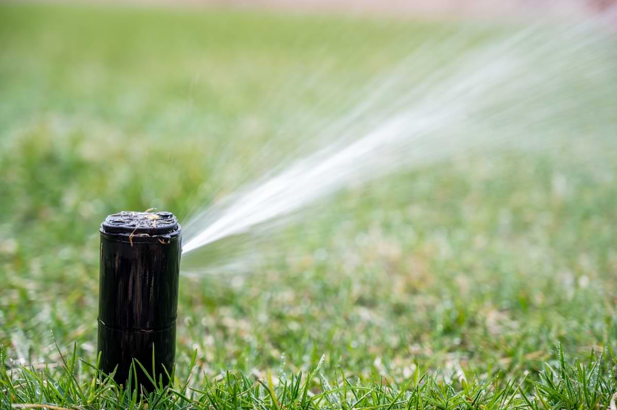 Pop up sprinkler head spraying water in yard.
