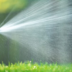 Lawn Care 3 Sprinkler rotor spraying yard on a sunny day.