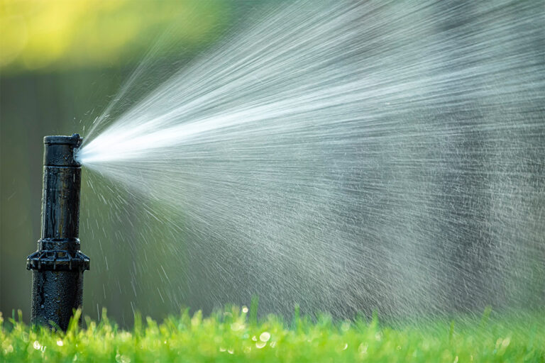 Sprinkler rotor spraying yard on a sunny day.