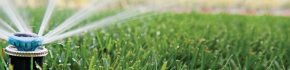 the_sprinkler_rotor_keeps_moving_and_the_spray_head_wont_budge_which_one_is_right_st