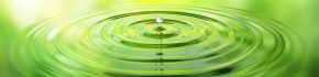 you_filter_your_coffee_you_filter_air_really_should_filter_your_irrigation_water_st